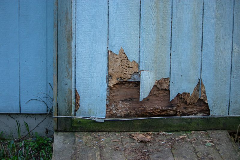 Exterior Cladding Repair